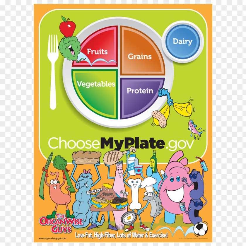Plating Crystal Poster MyPlate Nutrition Food Pyramid Group MyPyramid PNG