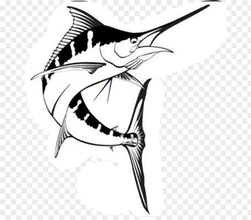 Barracuda Drawing Atlantic Blue Marlin Billfish Fishing PNG