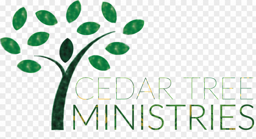 Cedar Tree Spiritual Direction Logo Brand Leaf Spirituality PNG