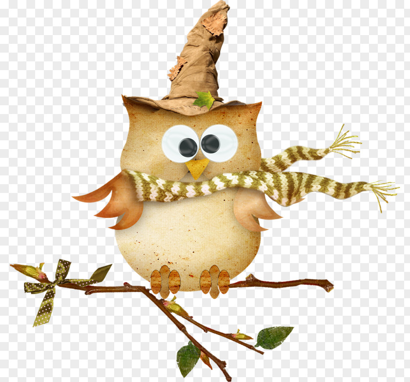 Cute Owl Bird True Little PNG
