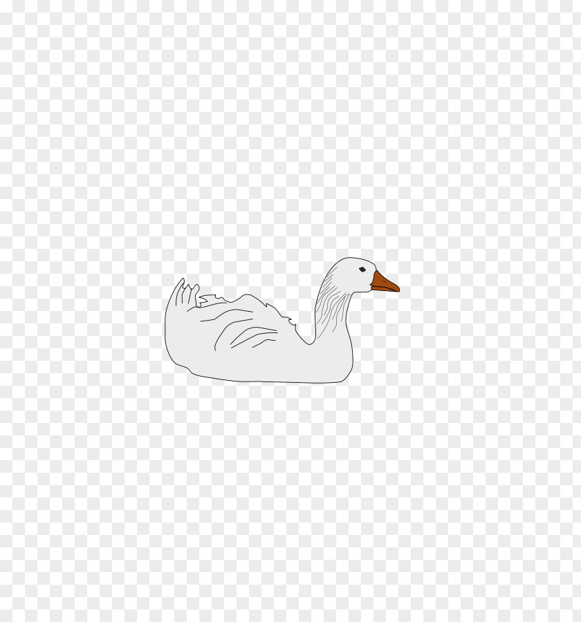 Duck Goose Beak Feather Neck PNG