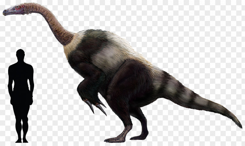Gansu Tyrannosaurus Saltopus Giganotosaurus Bird Dinosaur PNG