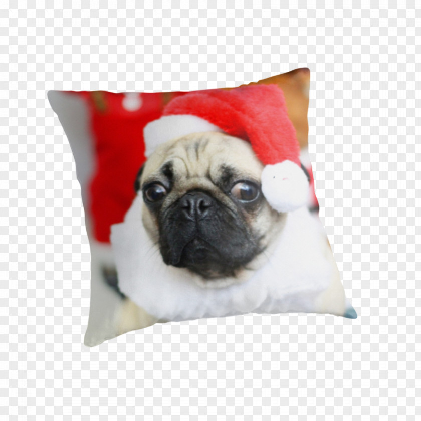 Pug Puppy Dog Breed Cushion Toy PNG