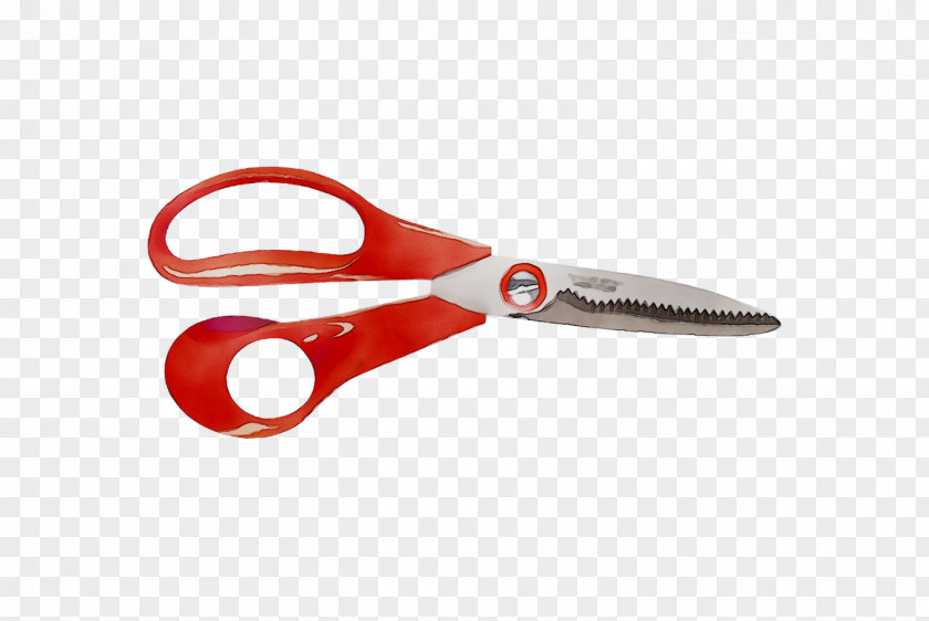 Scissors Product Design PNG