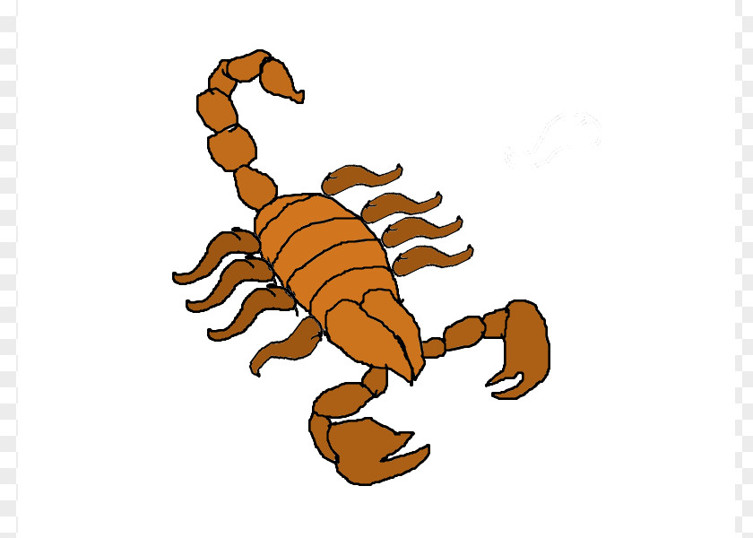 Teacher Animation Scorpion Clip Art PNG