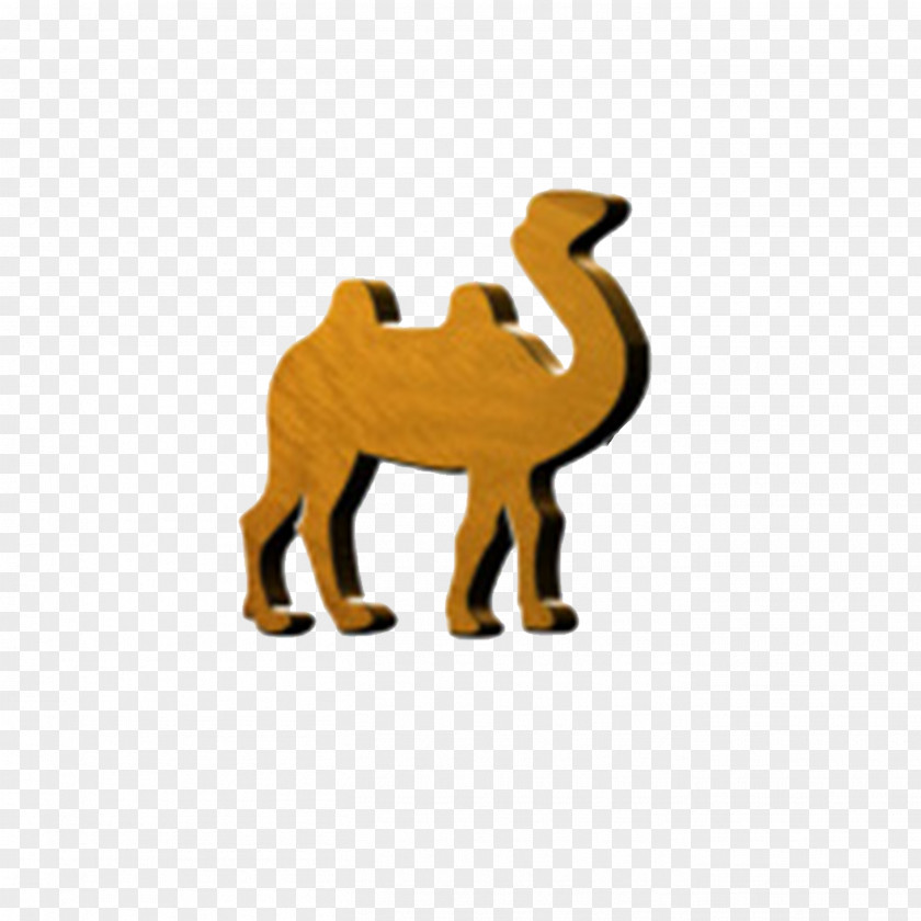 Wooden Camel Logo Cat Mammal Pattern PNG