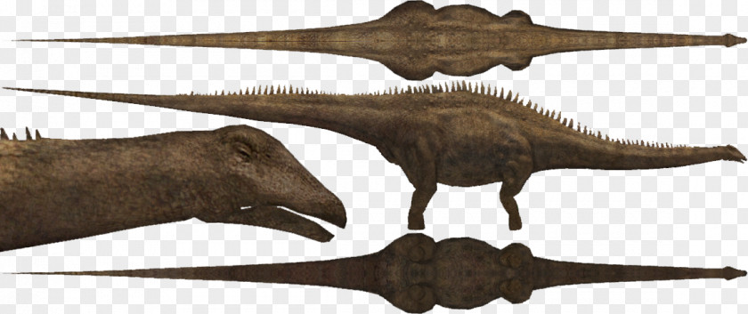 Dinosaur Diplodocus Allosaurus Velociraptor Apatosaurus Zoo Tycoon 2 PNG