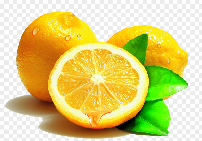Fresh Lemon Lemonade Food Fruit Eating PNG
