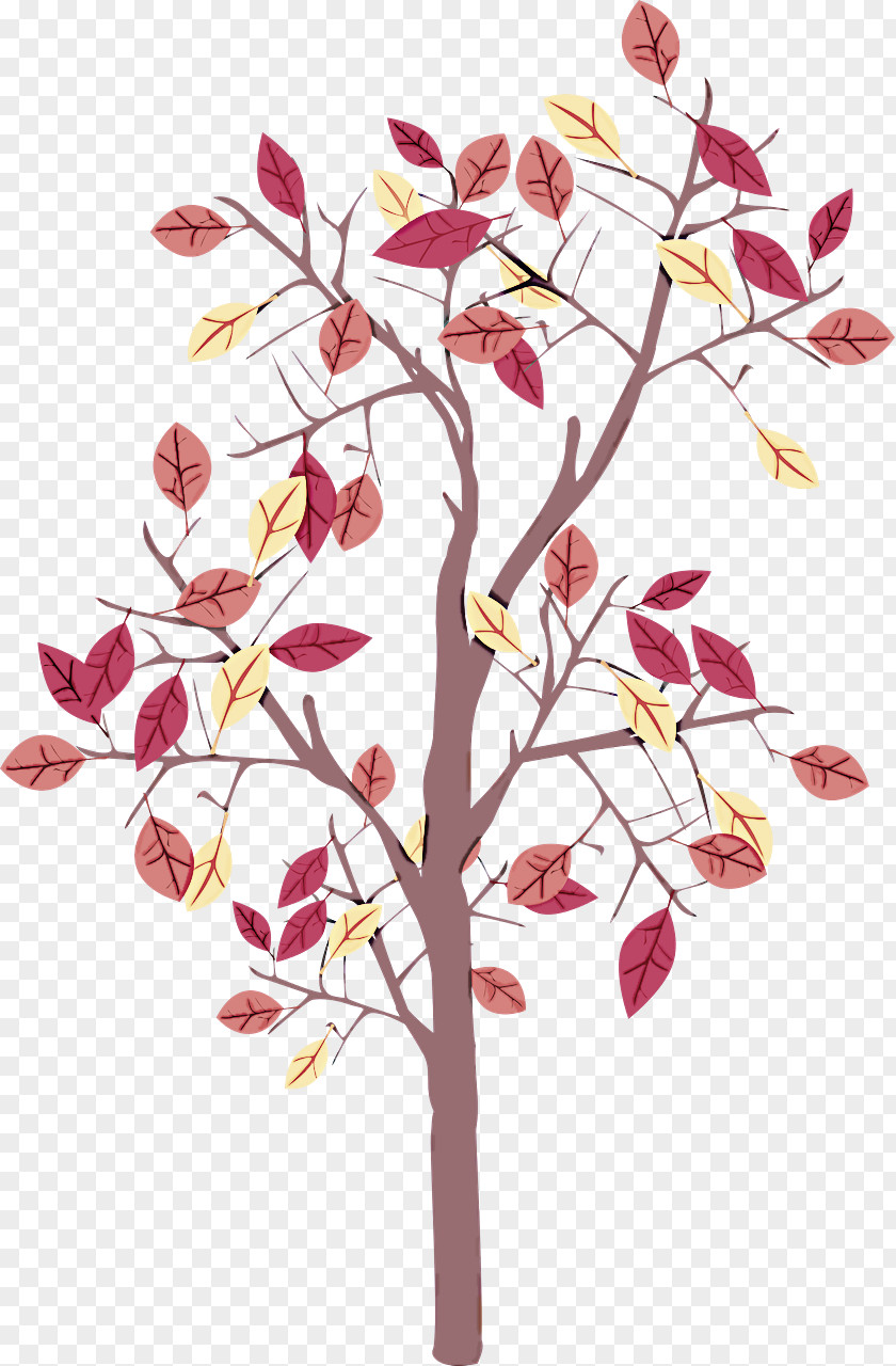 Plant Stem Pedicel Flower Branch Tree Twig PNG
