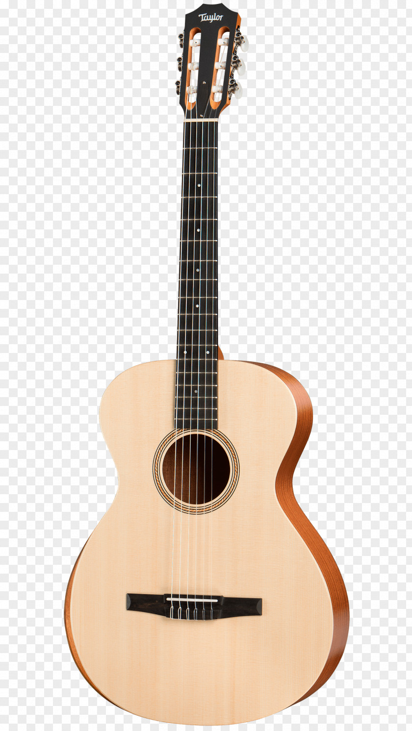 Acoustic Guitar Steel-string Classical Acoustic-electric PNG