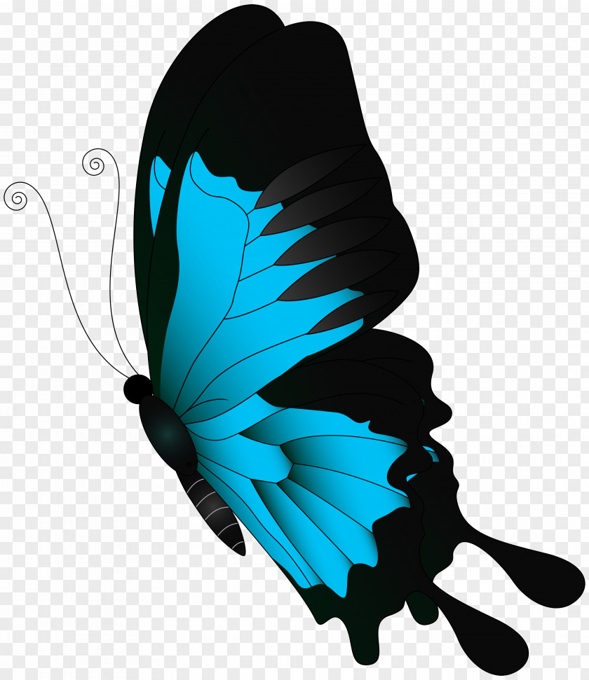 Blue Flying Butterfly Clip Art PNG