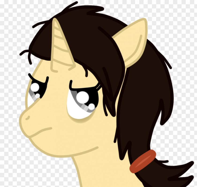 Cat Horse Pony Mammal Ear PNG