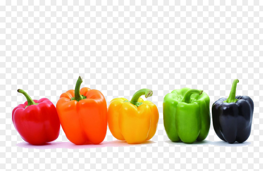 Color Bell Pepper Vegetable Chili Food PNG