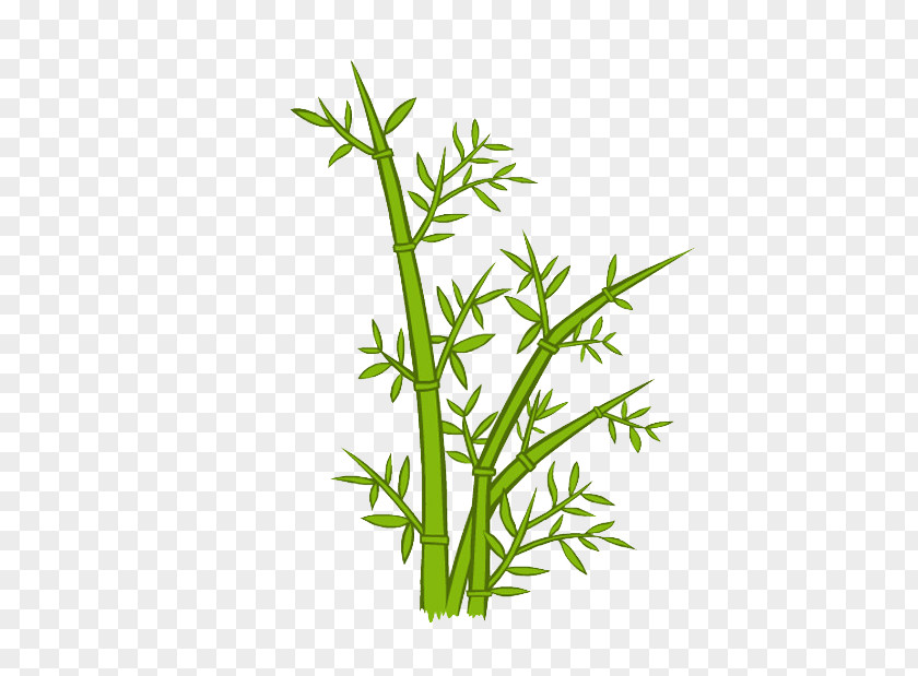 Green Bamboo Cartoon PNG