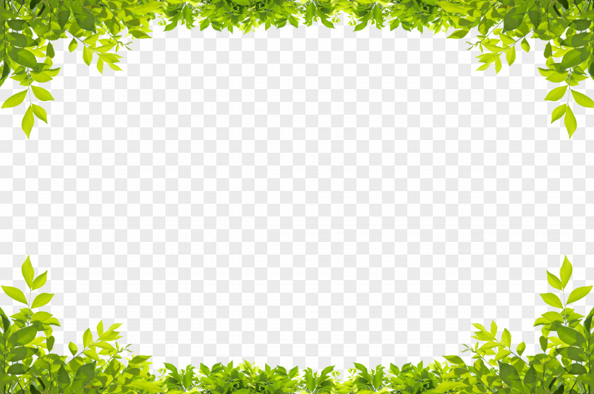 Green Leaves Border Stock Photography Leaf Royalty-free Shutterstock PNG