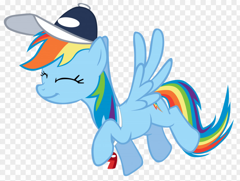 Horse Rainbow Dash Digital Art PNG