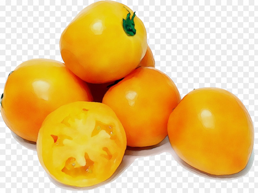 Nightshade Family Yellow Plum Tomato PNG