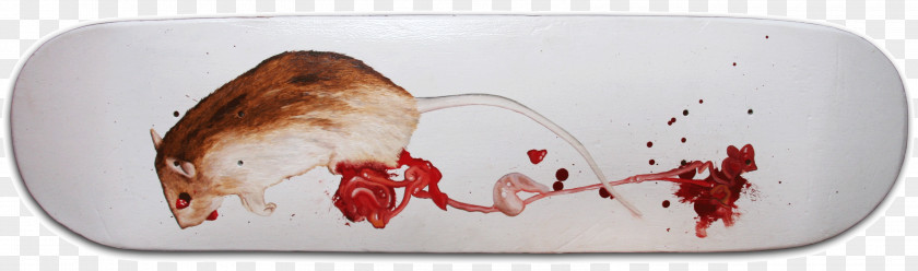 Roadkill Triptych Columbidae Brown Rat Death PNG