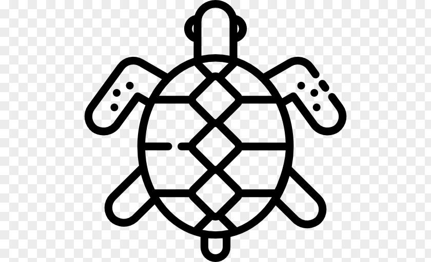 Turtle Clip Art PNG