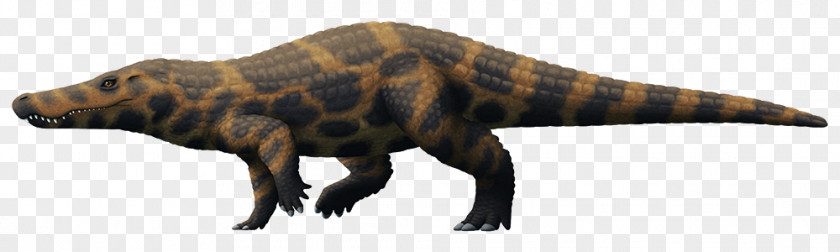 Eocene Boverisuchus Tyrannosaurus Planocraniidae Crocodiles PNG