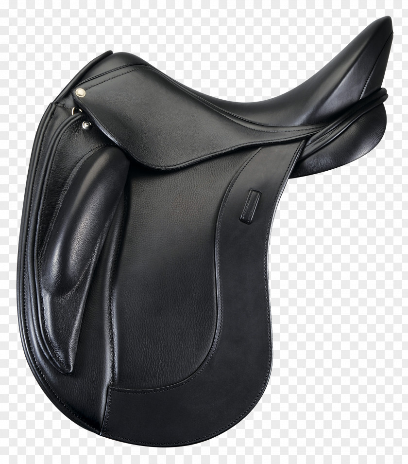 Horse Dressage Schleese Saddlery Equestrian PNG