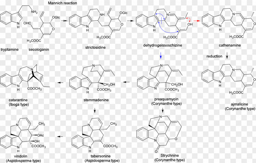 Indole Alkaloid Terpene Terpenoid PNG