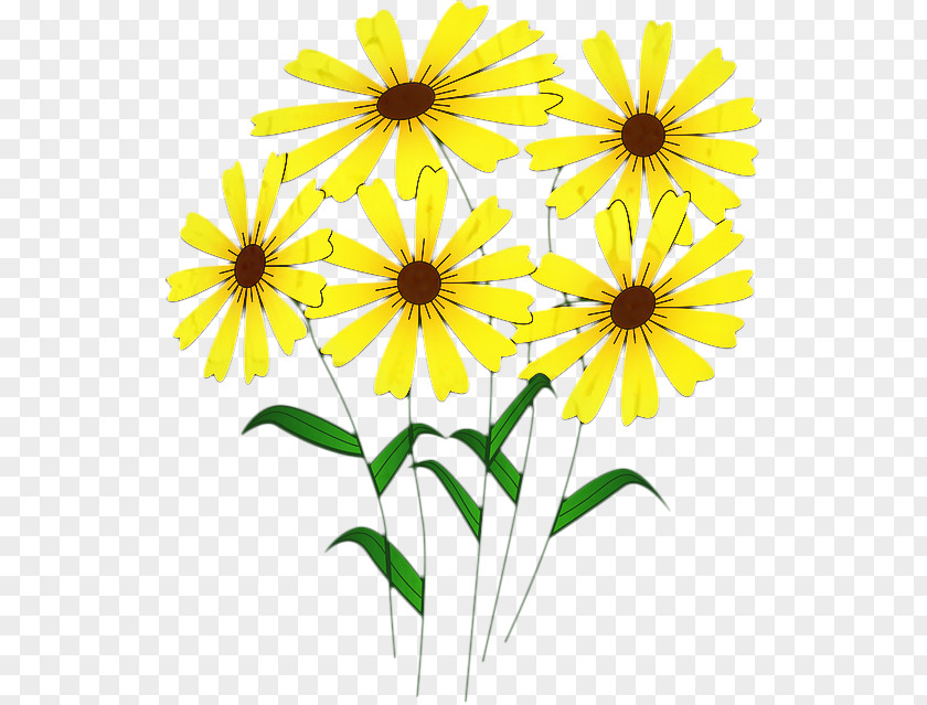 Jerusalem Artichoke Daisy Summer Flower Background PNG