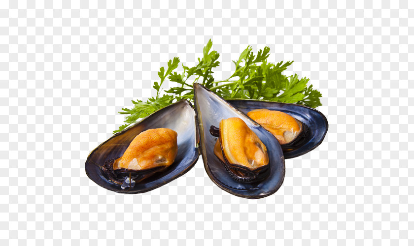 Mediterranean Mussel Seafood Restaurant PNG