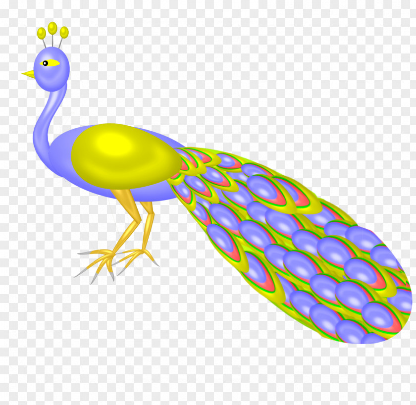 Peacocks Beak Clip Art Feather Line Animal PNG