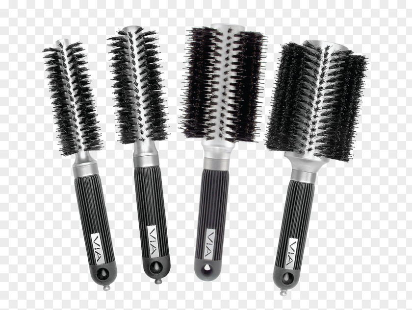 Boar Wild Brush Tool Hair Nylon PNG