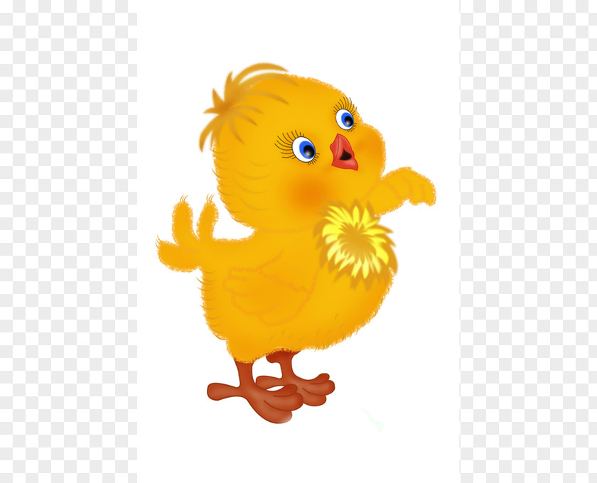 Duck Chicken Clip Art PNG