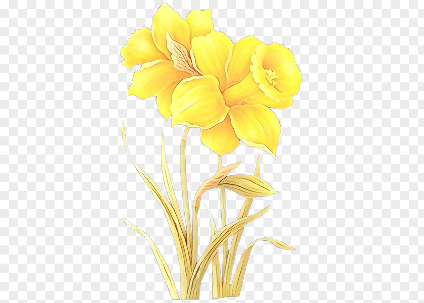 Evening Primrose Family Freesia Flower Yellow Petal Cut Flowers Flowering Plant PNG