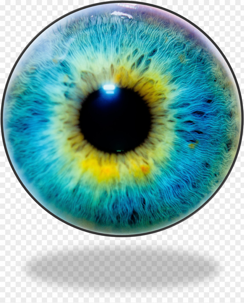Eyes Human Eye Iris Recognition Color PNG