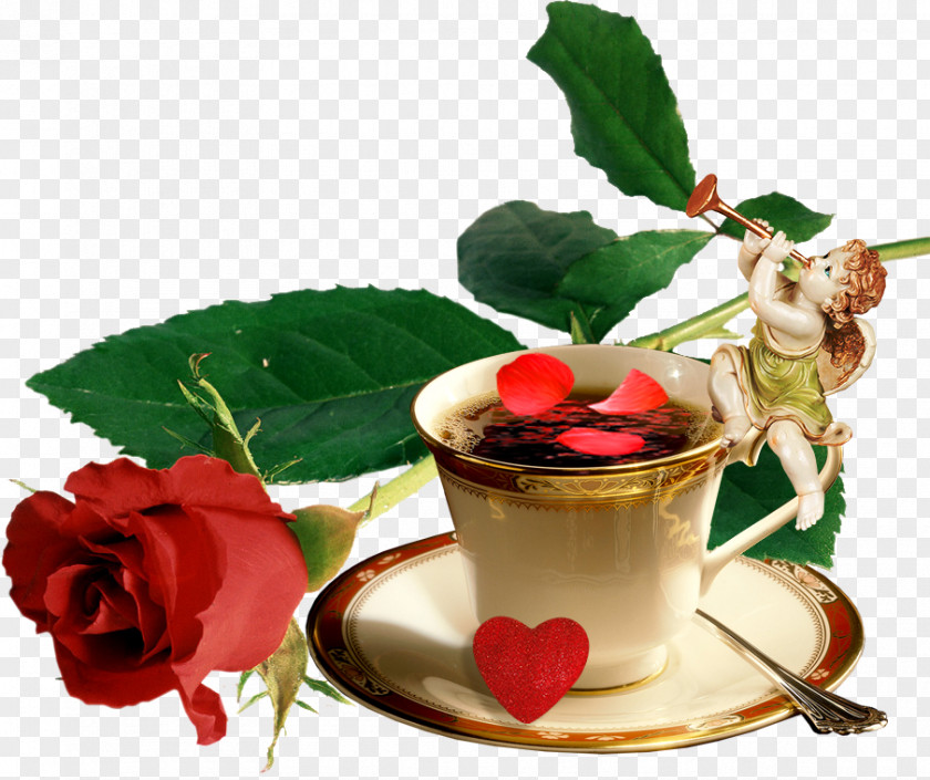 Flower Garden Roses Rosa Peace Animaatio Clip Art PNG