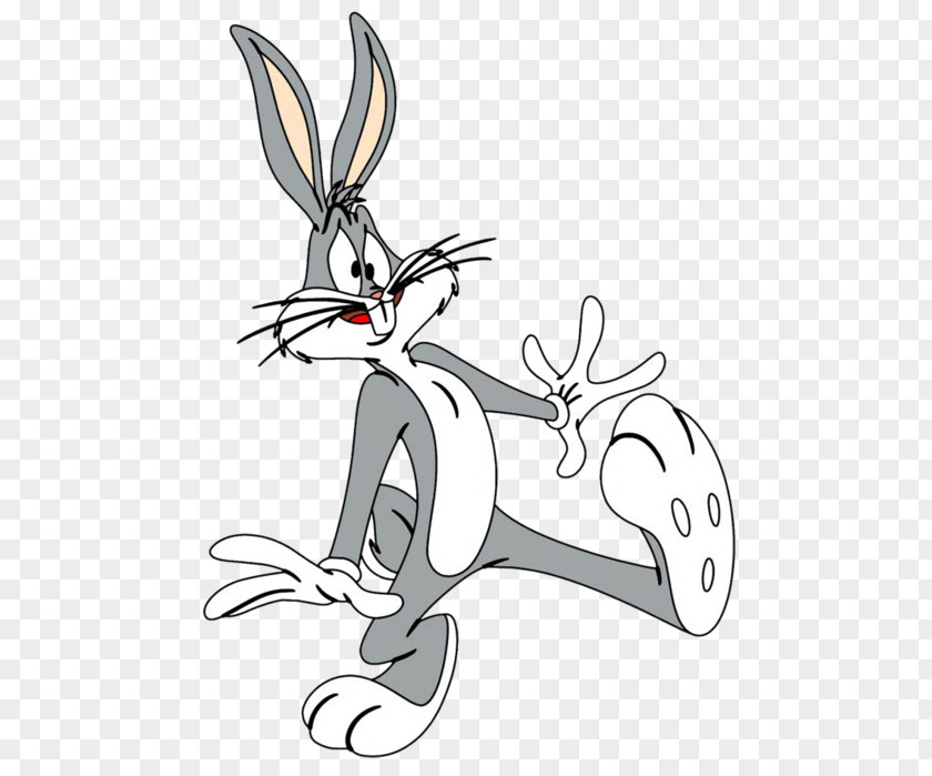 Rabbit Bugs Bunny Mashimaro Looney Tunes Cartoon PNG