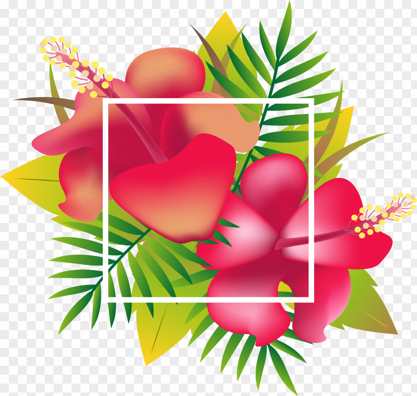 Red Tropical Flower Header Box Floral Design Tropics PNG