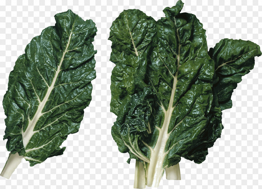 Salad Image Lettuce Vegetarian Cuisine Vegetable Produce PNG