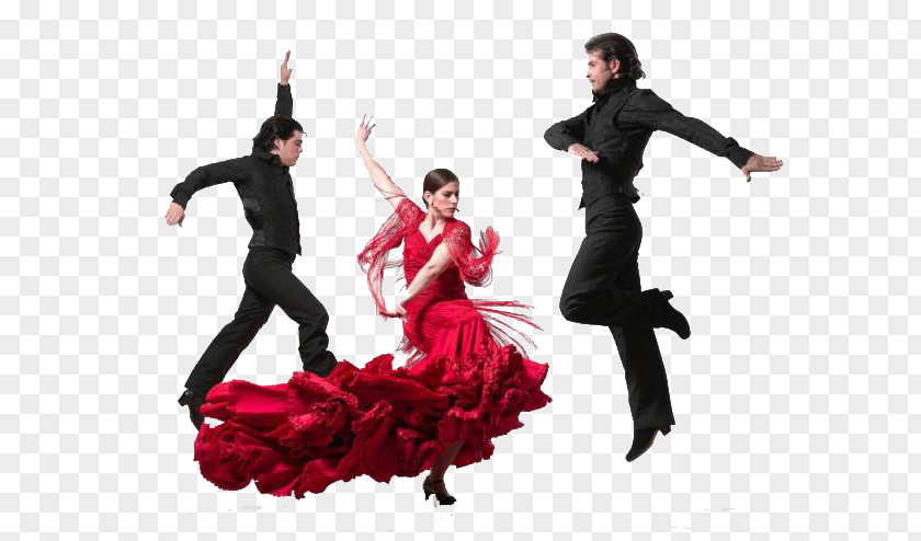 Ballet Bienal De Flamenco Dance Troupe Folk PNG