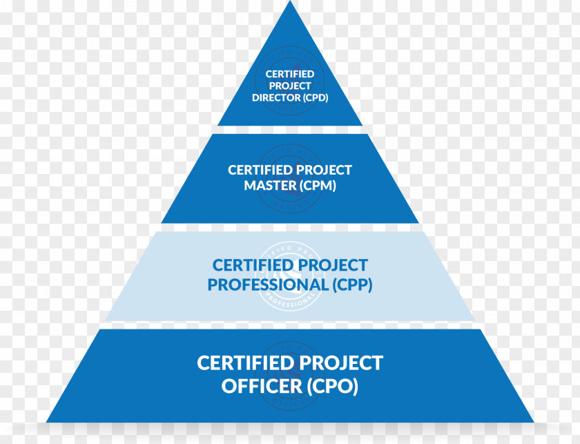 Business Project Management Professional Certification Institute PNG