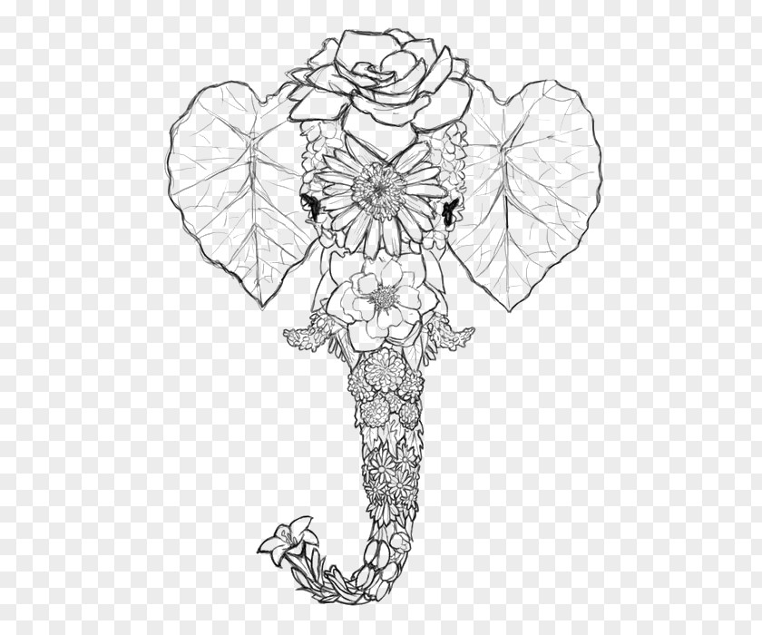 Elephant Head Drawing Coloring Book Line Art PNG