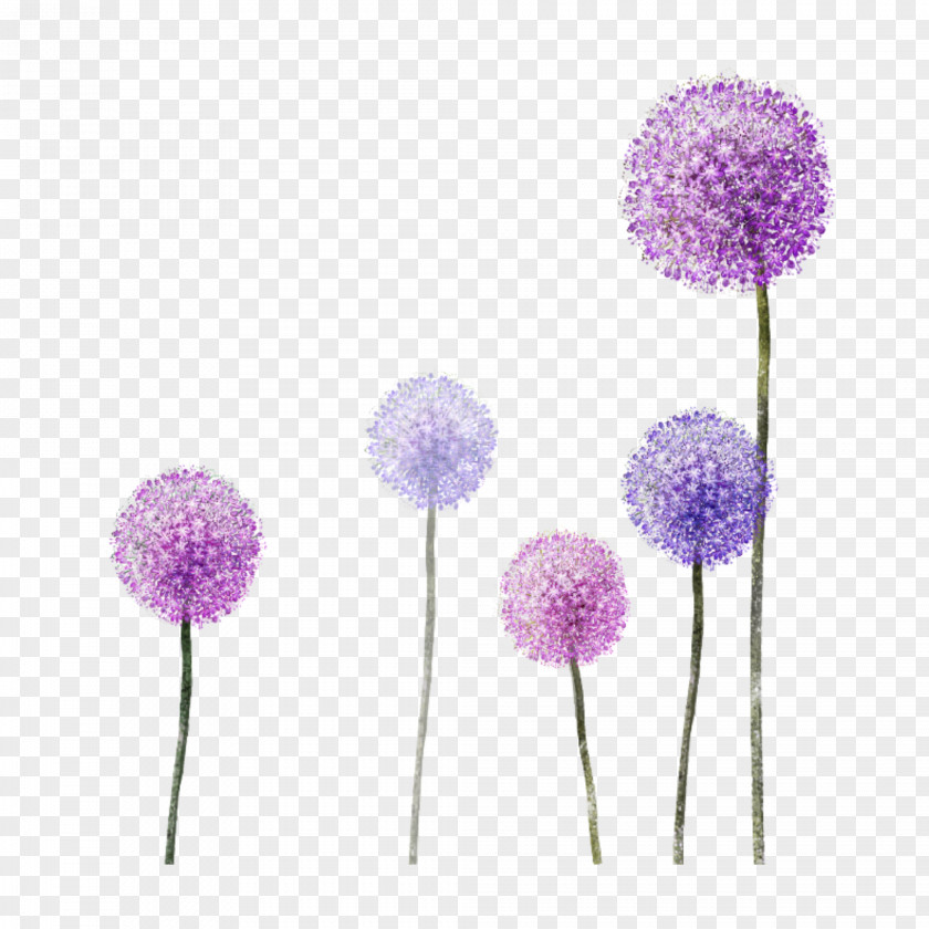 Flower Painting Common Dandelion Abziehtattoo PNG