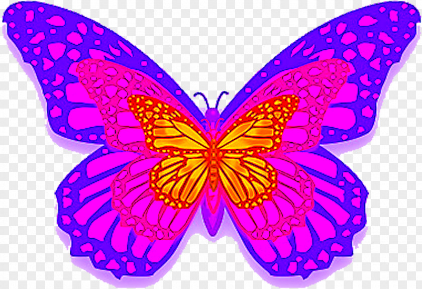 Magenta Wing Monarch Butterfly Drawing PNG