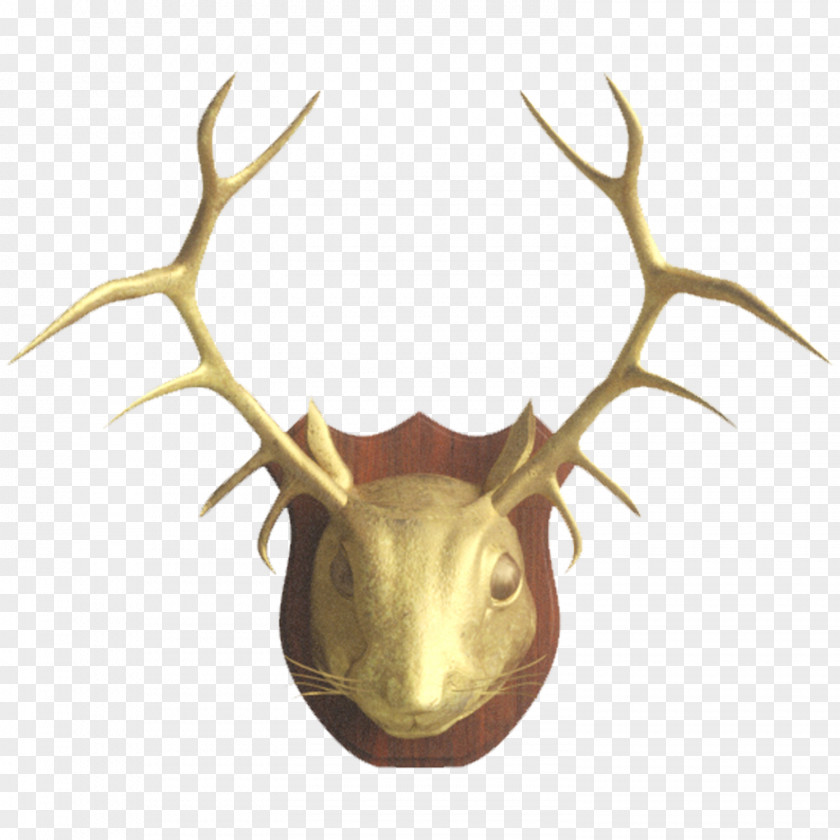 Realistic Different Nuts Outlook.com Email Deer Itsourtree.com Antler PNG