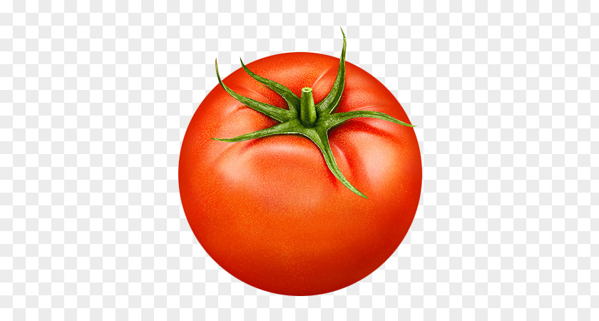 Tomatoes Tomato Plum Vegetable Bush PNG