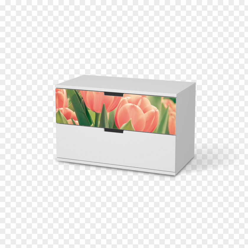 Tulip Material Petal For You Industrial Design Rectangle PNG