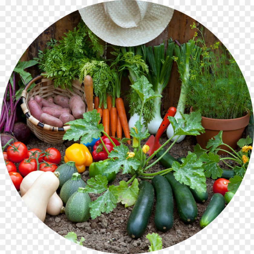 Garden Vegetables Gardening Harvest Container Kitchen PNG