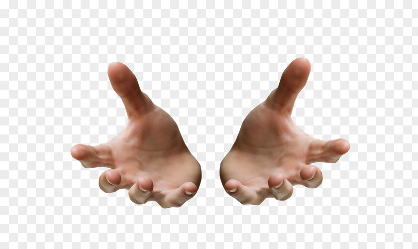 Hands Left Hand Material PNG left hand material clipart PNG