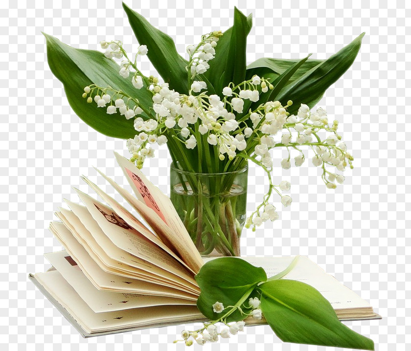 Lily Of The Valley 1 May French Loto Luck PNG