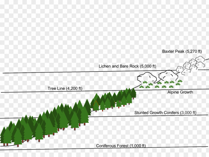 Mountain Mount Katahdin Millinocket Rainier Leaf PNG