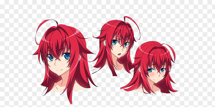 Rias Gremory High School DxD Akeno Himejima Anime Hero PNG Hero, clipart PNG